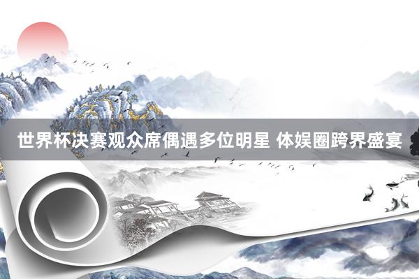 世界杯决赛观众席偶遇多位明星 体娱圈跨界盛宴