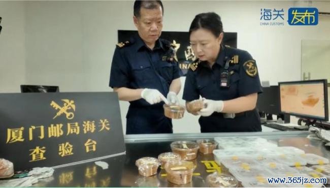 异宠市场沦为“疯狂动物城” 严控外来物种入侵