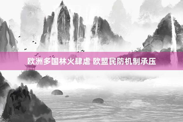 欧洲多国林火肆虐 欧盟民防机制承压
