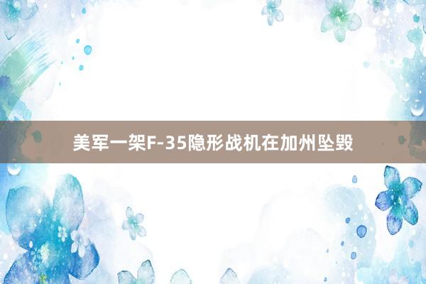 美军一架F-35隐形战机在加州坠毁