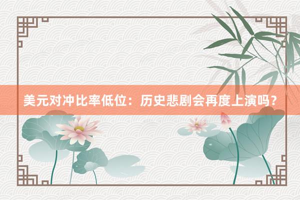 美元对冲比率低位：历史悲剧会再度上演吗？