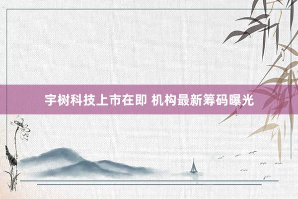 宇树科技上市在即 机构最新筹码曝光