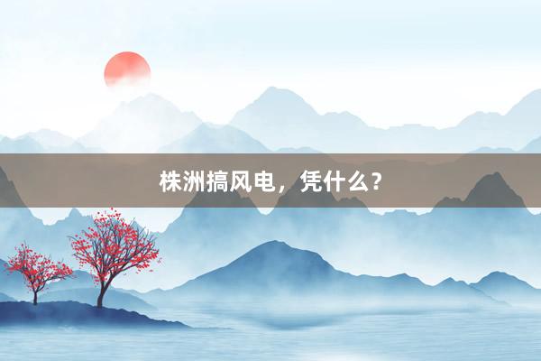 株洲搞风电，凭什么？