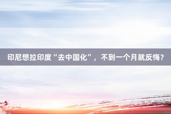 印尼想拉印度“去中国化”，不到一个月就反悔？