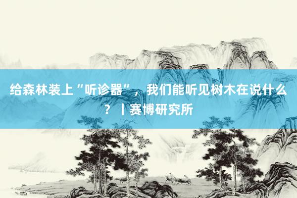 给森林装上“听诊器”，我们能听见树木在说什么？丨赛博研究所