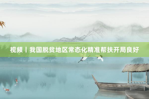 视频丨我国脱贫地区常态化精准帮扶开局良好