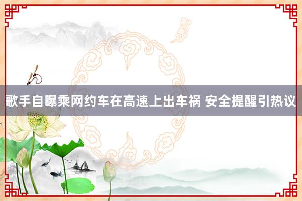 歌手自曝乘网约车在高速上出车祸 安全提醒引热议