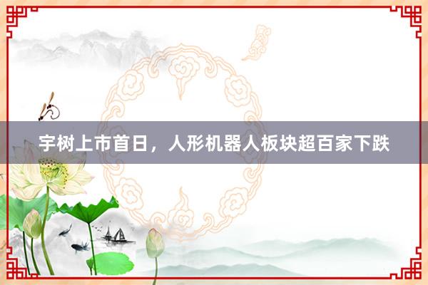 宇树上市首日，人形机器人板块超百家下跌