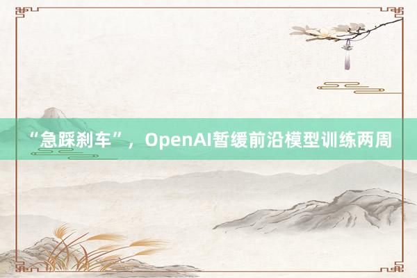 “急踩刹车”，OpenAI暂缓前沿模型训练两周