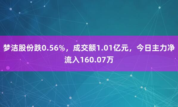 梦洁股份跌0.56%，成交额1.01亿元，今日主力净流入160.07万