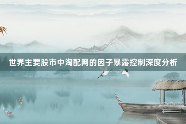 世界主要股市中淘配网的因子暴露控制深度分析