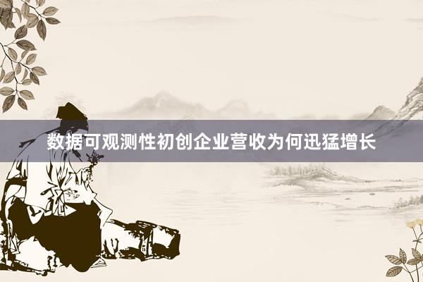 数据可观测性初创企业营收为何迅猛增长