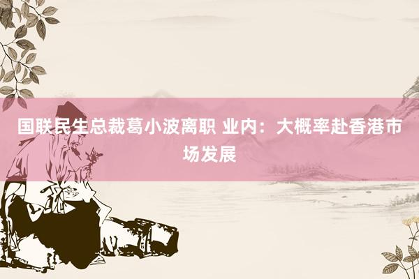 国联民生总裁葛小波离职 业内：大概率赴香港市场发展