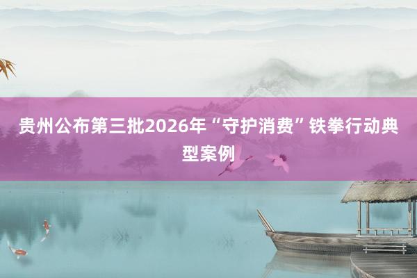 贵州公布第三批2026年“守护消费”铁拳行动典型案例
