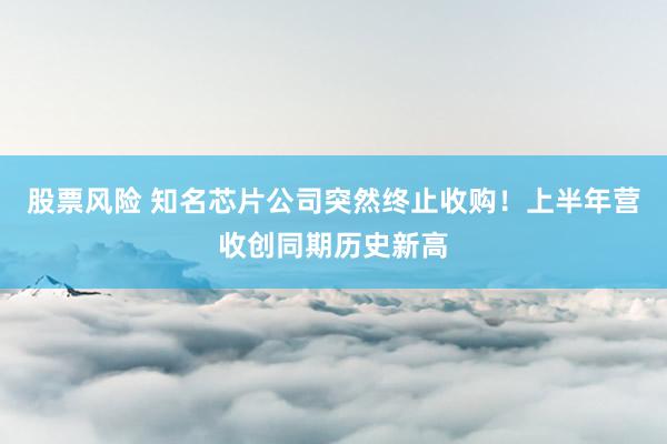 股票风险 知名芯片公司突然终止收购！上半年营收创同期历史新高