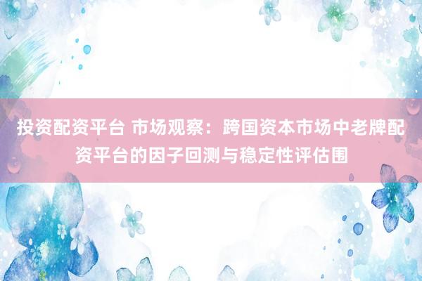 投资配资平台 市场观察：跨国资本市场中老牌配资平台的因子回测与稳定性评估围