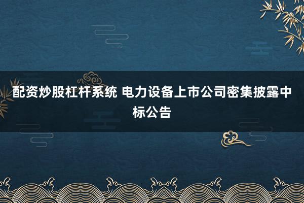 配资炒股杠杆系统 电力设备上市公司密集披露中标公告