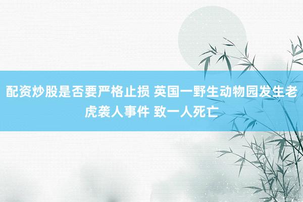 配资炒股是否要严格止损 英国一野生动物园发生老虎袭人事件 致一人死亡