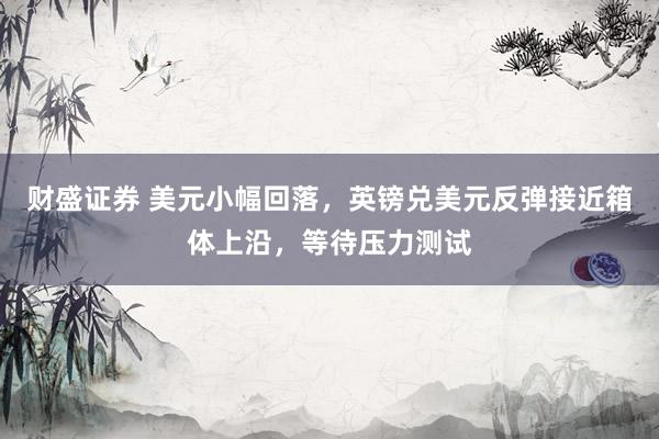 财盛证券 美元小幅回落，英镑兑美元反弹接近箱体上沿，等待压力测试