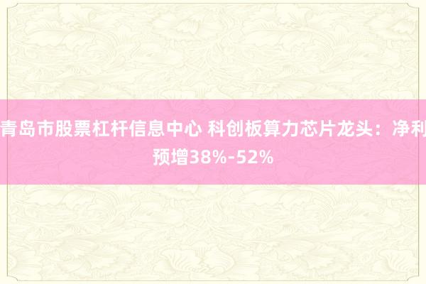 青岛市股票杠杆信息中心 科创板算力芯片龙头：净利预增38%-52%