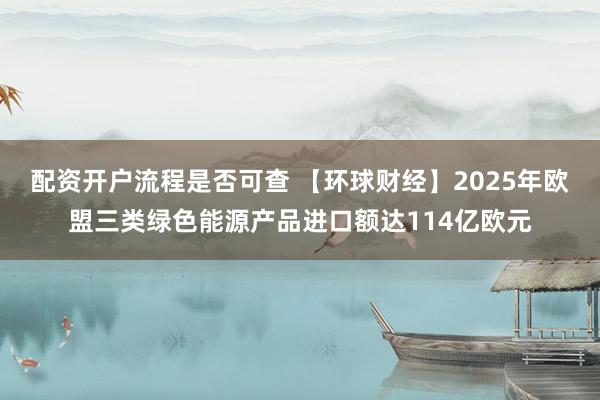 配资开户流程是否可查 【环球财经】2025年欧盟三类绿色能源产品进口额达114亿欧元