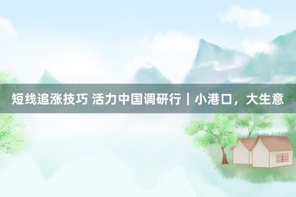 短线追涨技巧 活力中国调研行｜小港口，大生意